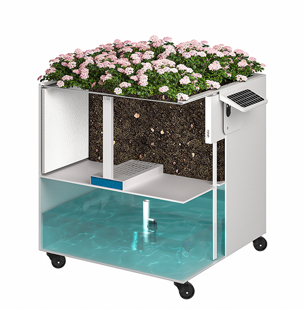 解决方案（images 6）