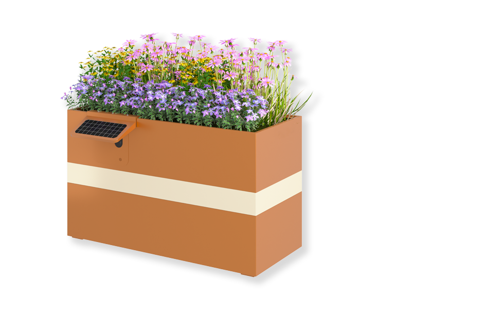 解决方案（images 2）